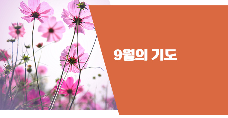 ̰ ִ Ϸ